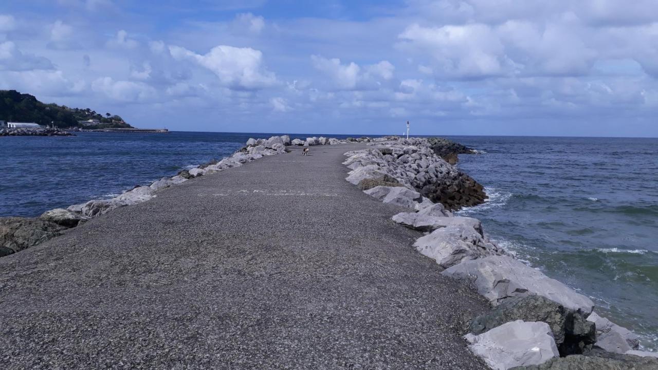 Appartement Les Hirondelles 2Km Plage-Wifi-Jardin-Parking-Draps Et Serviettes Hendaye Eksteriør bilde
